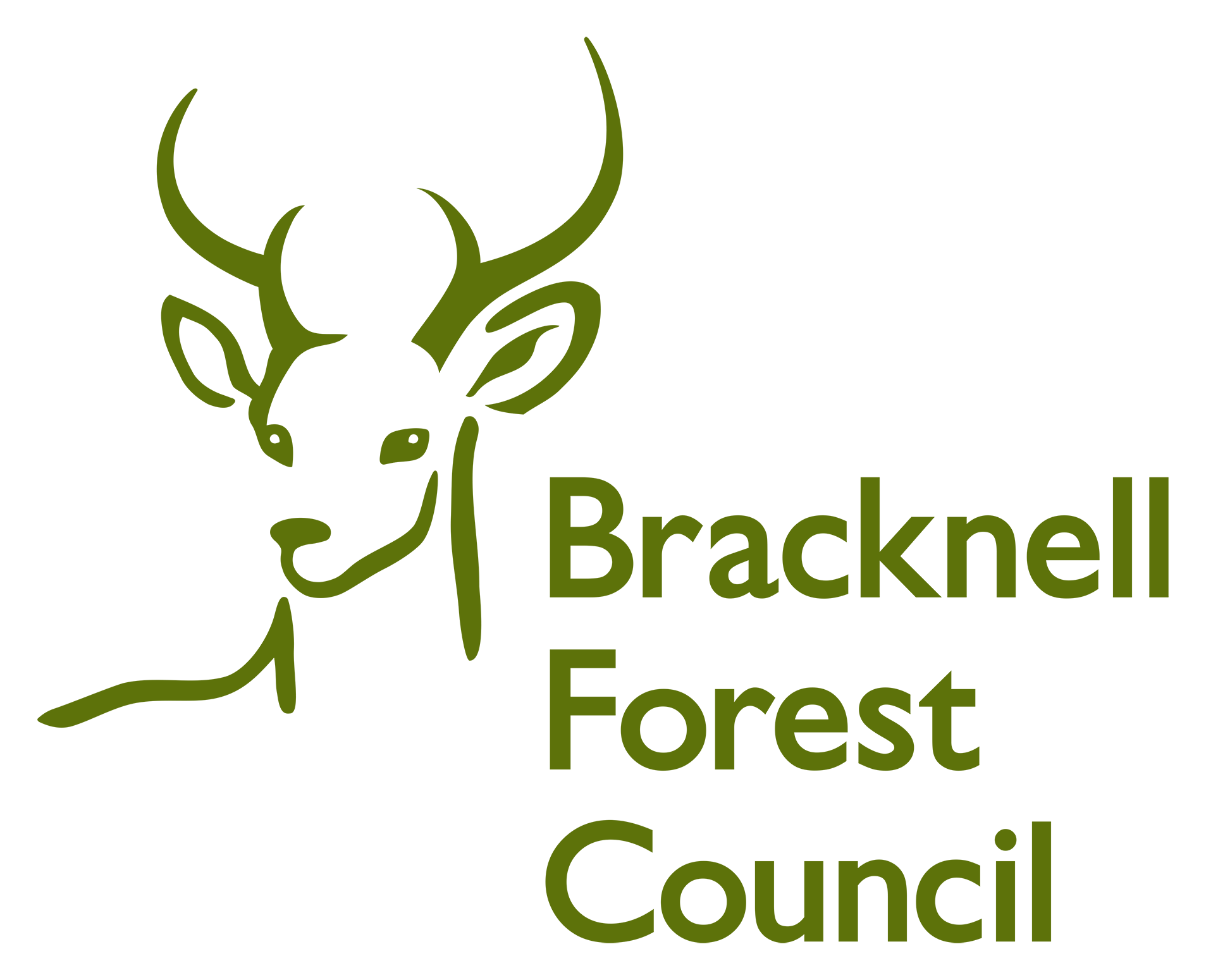 Bracknell Forest Council logo